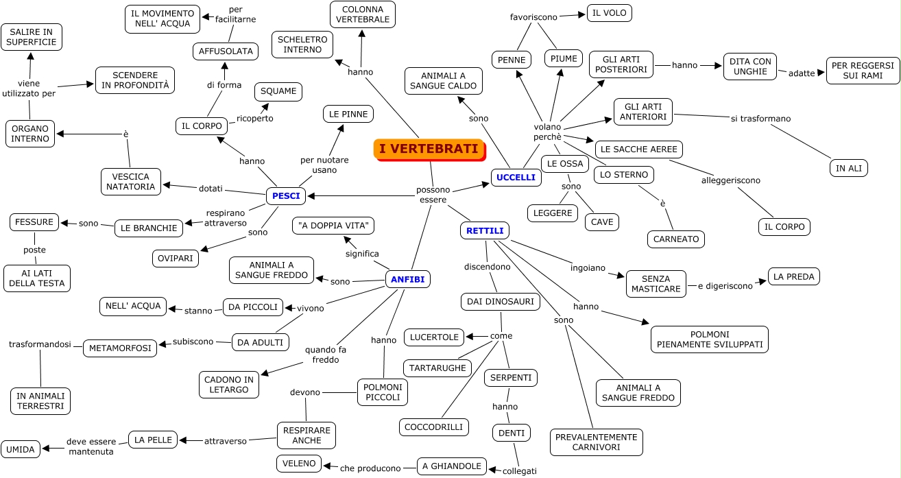 I VERTEBRATI - Mappa Concettuale